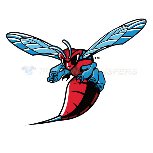 Delaware State Hornets Iron-on Stickers (Heat Transfers)NO.4251
